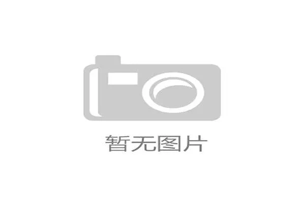 2026 世界杯 48 强名单中的“兄弟档”与“父子档”：体育世家的传承之战。
